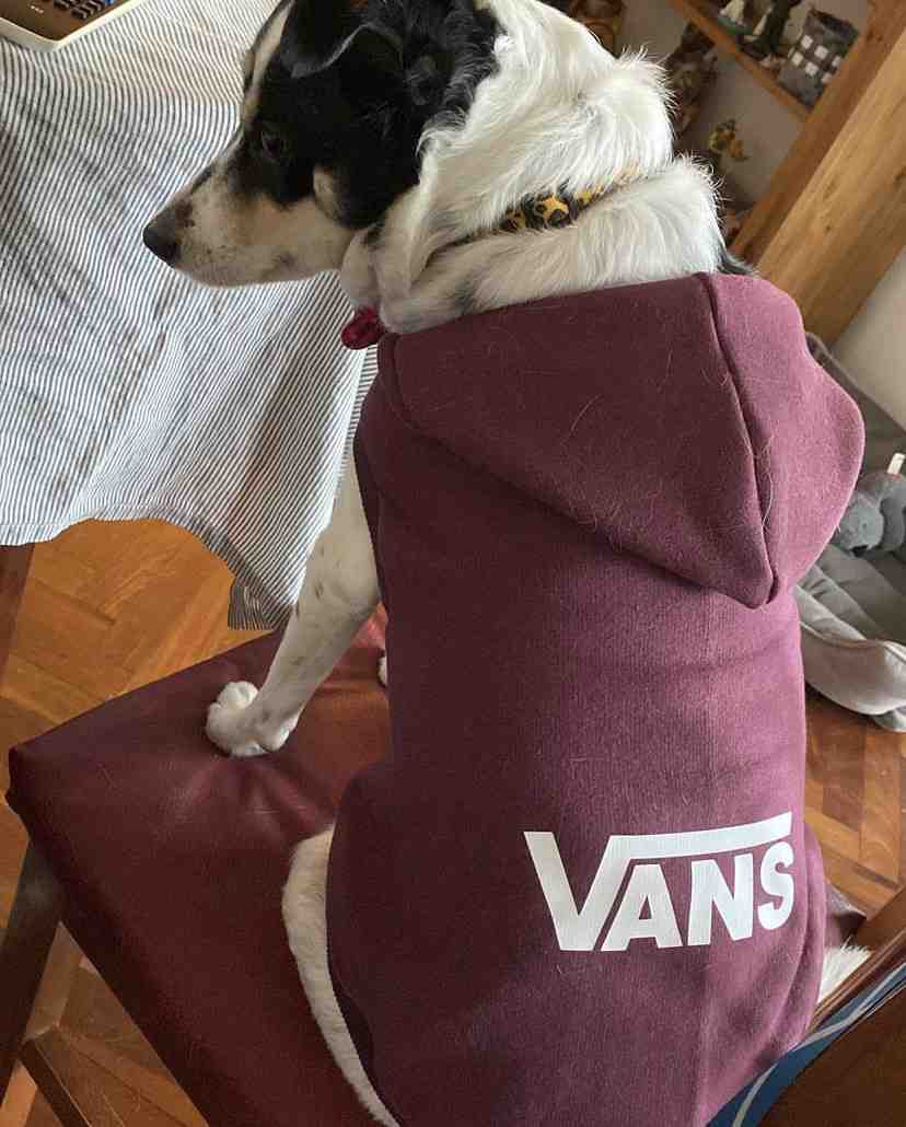 CHALECO VANS T6 BORDO Y BLANCO 